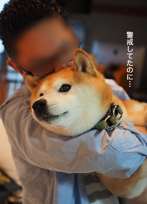 16日ブログ４