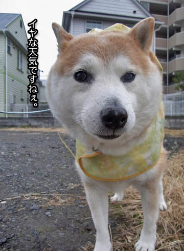 18日ブログ2.jpg