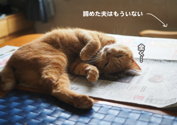 13日夕ブログ５