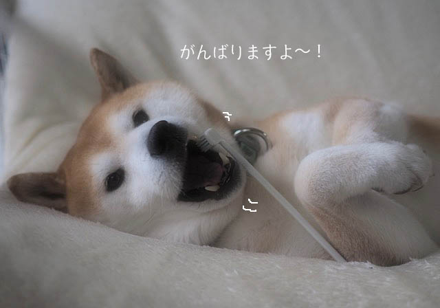 12日ブログ6