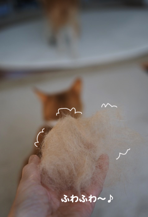 23日夕ブログ４