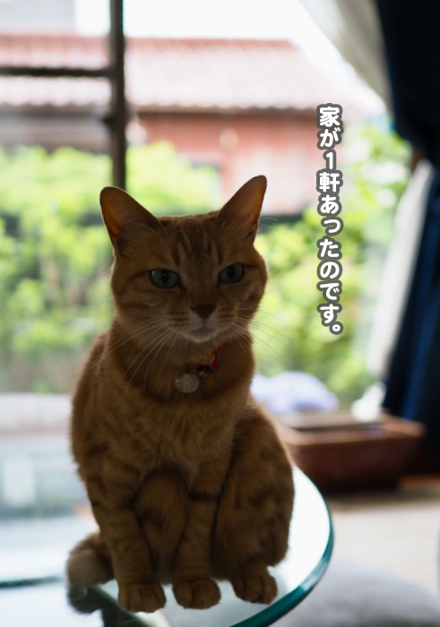 28日ブログ３