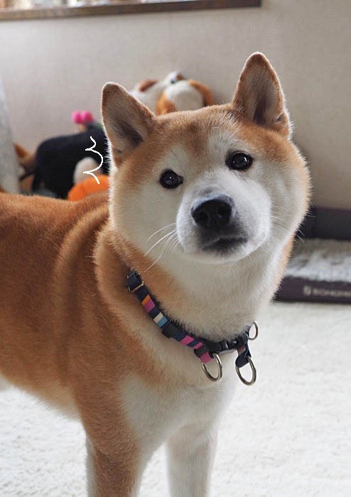 13日午後ブログ２