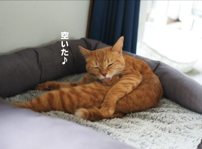 11日ブログ４