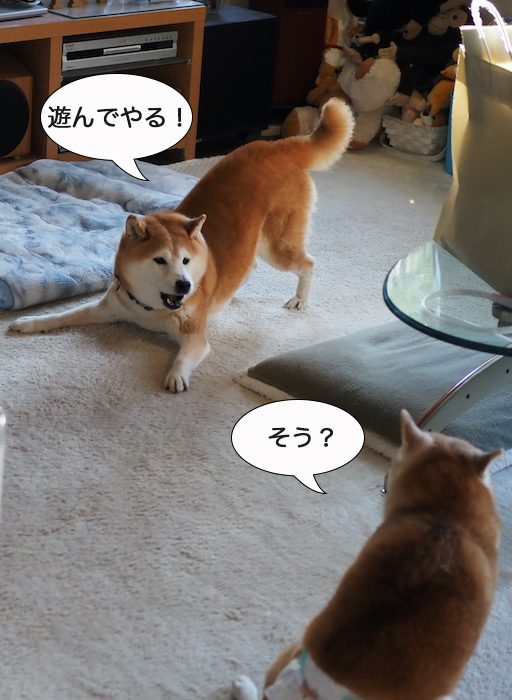16日夜ブログ４