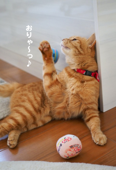 8日夕ブログ１４