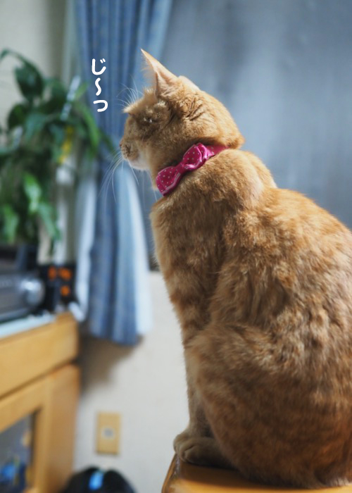 5日ブログ２