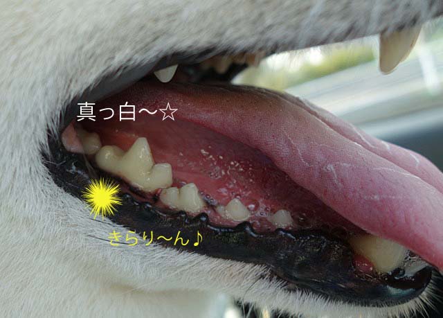 9日ブログ4