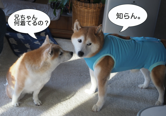 10日用４