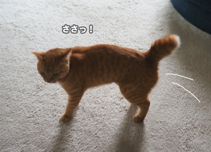 12日ブログ３