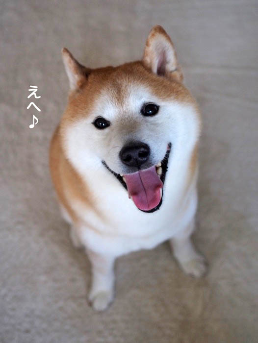 18日夜ブログ7