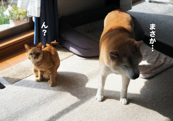 14日ブログ４