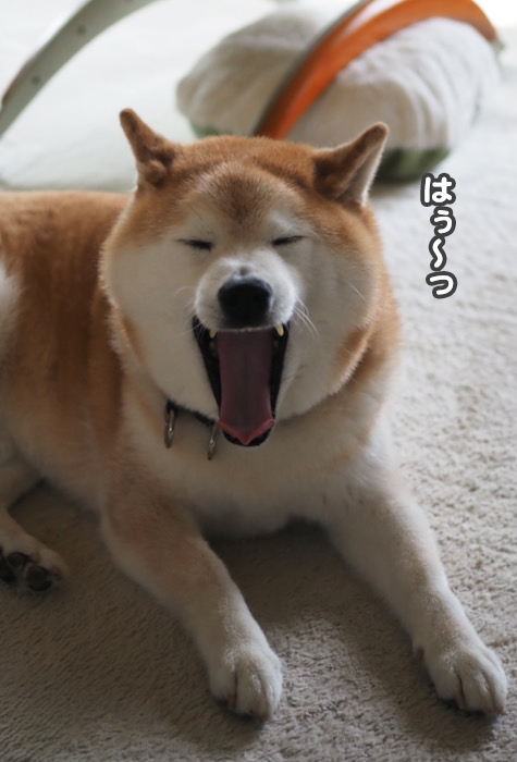 19日夜ブログ2