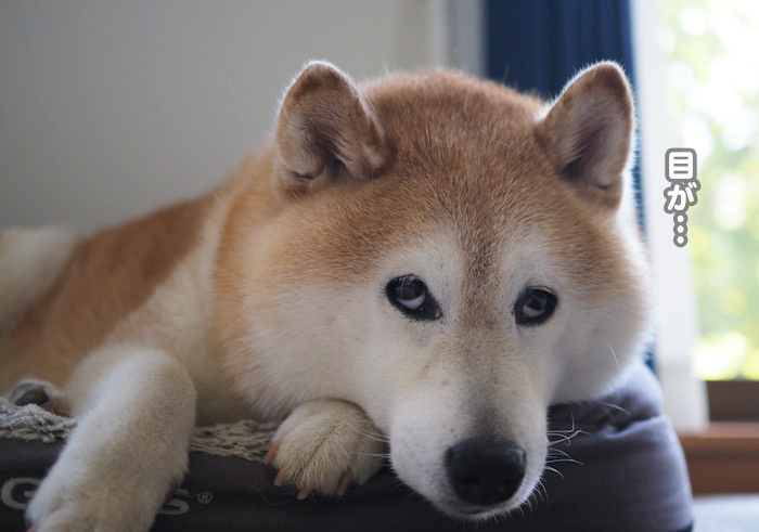 21日夕ブログ５