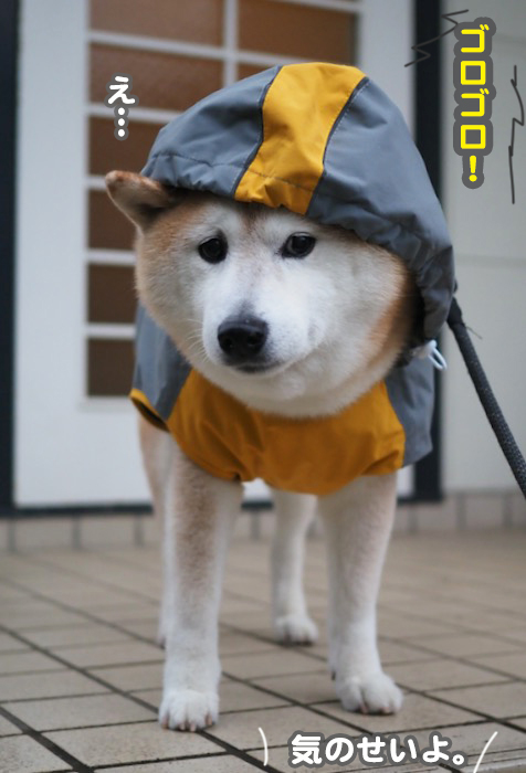 8日夕ブログ３