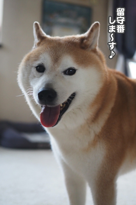 3日ブログ６