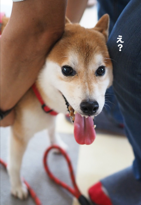 12日ブログ４