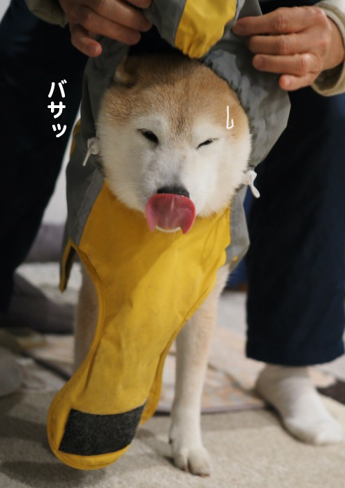 7日ブログ４