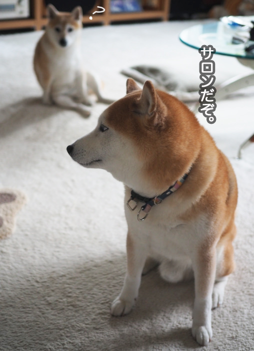 17日夜ブログ３