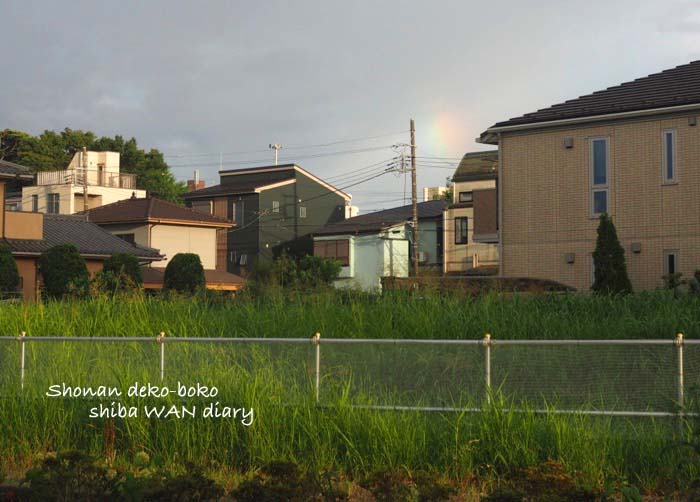 9日夕ブログ２