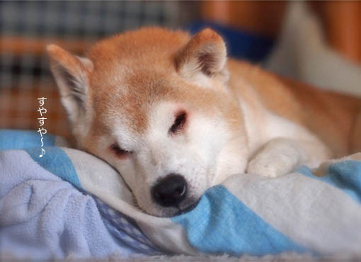 24日ブログ7.jpg