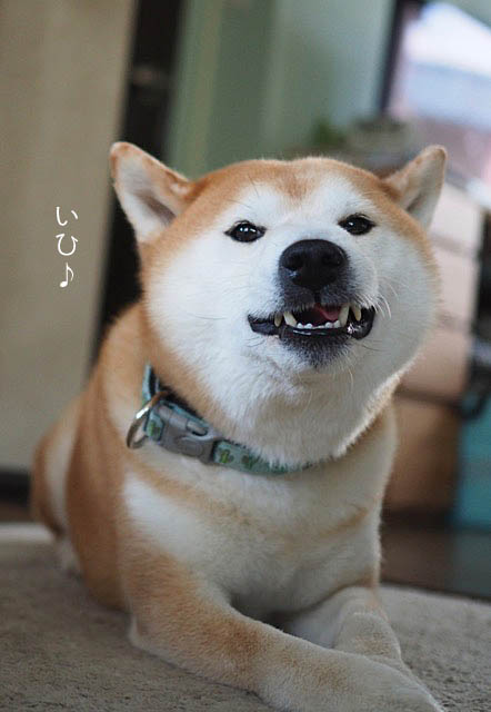 12日ブログ5