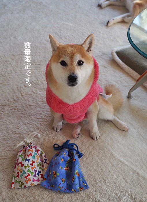 8日午後ブログ４