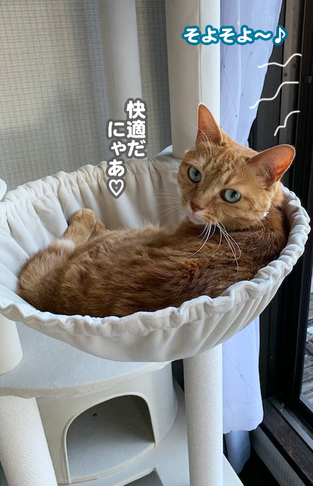 29日夕ブログ１０