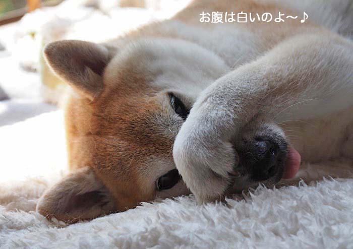 2日ブログ５