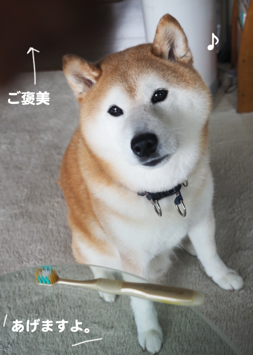 23日夕ブログ９