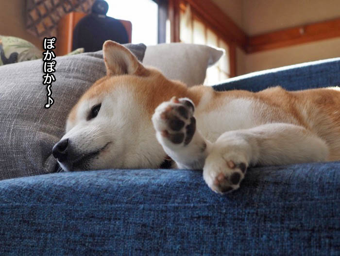 3日ブログ１