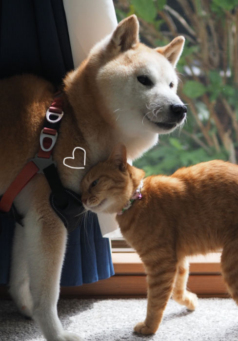 8日夕ブログ７