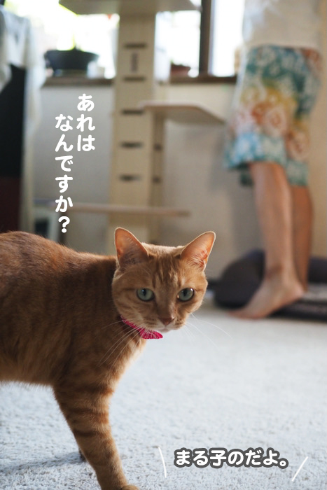 20日ブログ５