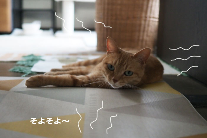 19日夕ブログ２