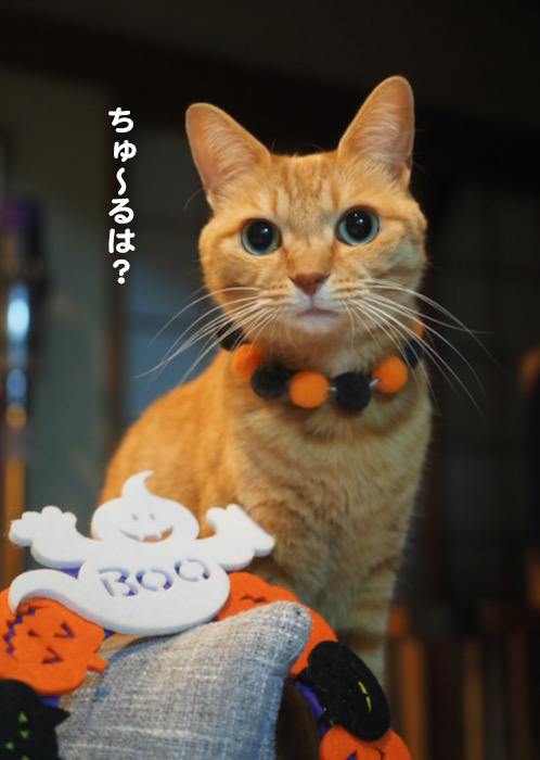 31日夕ブログ3