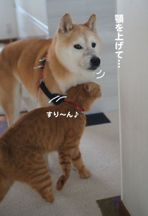16日夕ブログ６