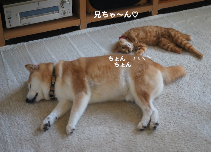 10日夕ブログ７