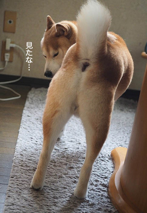 29日午前ブログ３