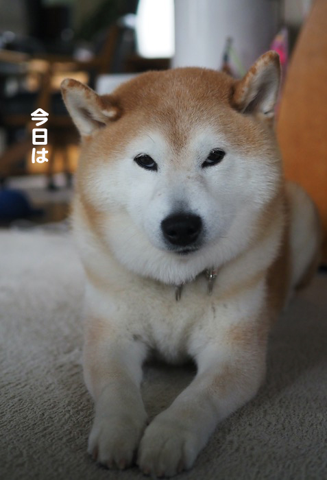 14日夕ブログ２