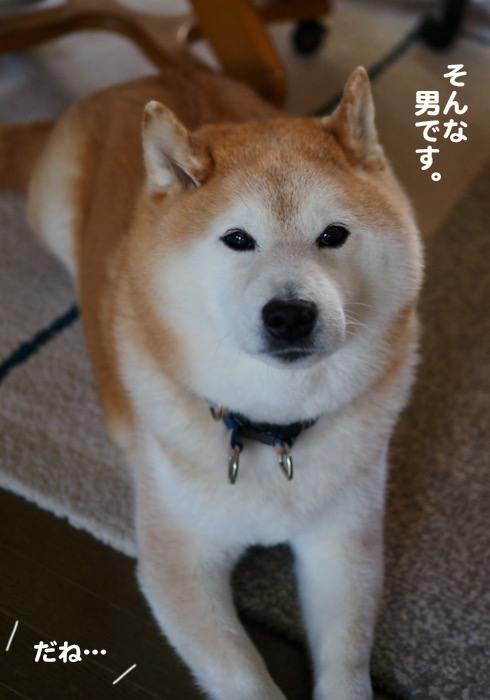 23日夕ブログ１０