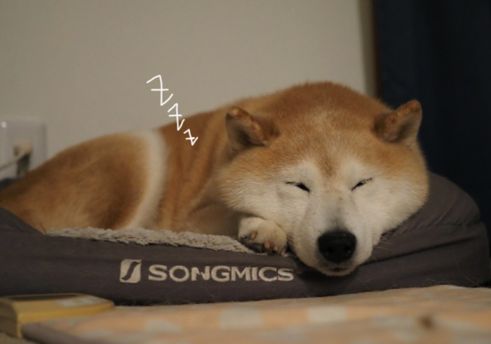 29日夕ブログ３