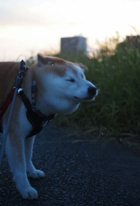 20日ブログ５