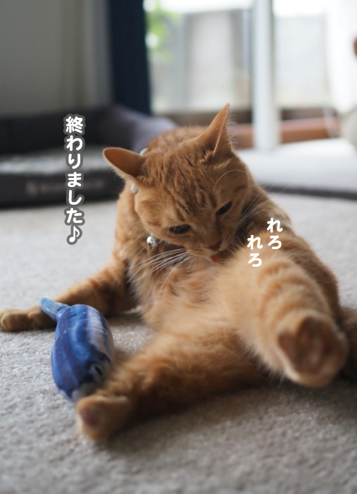 3日夕ブログ１１