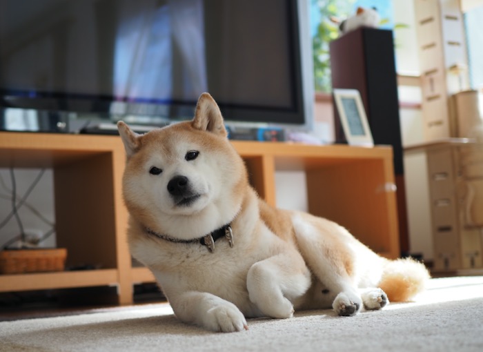 9日ブログ３