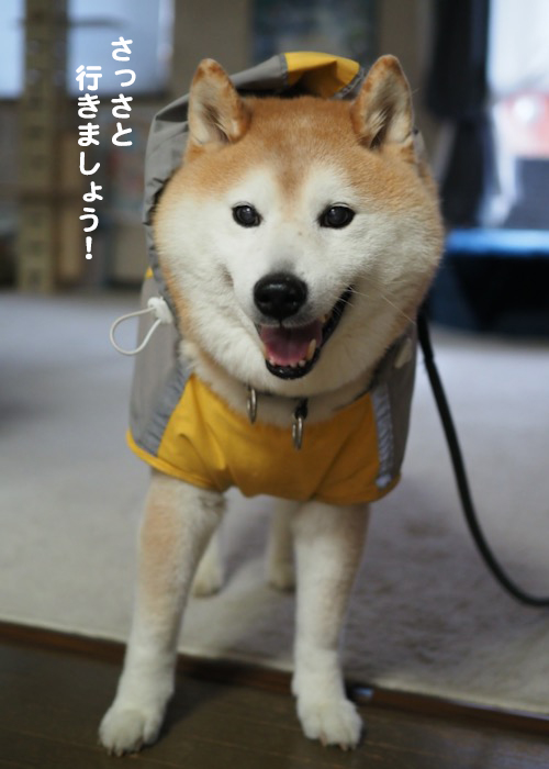 26日ブログ４