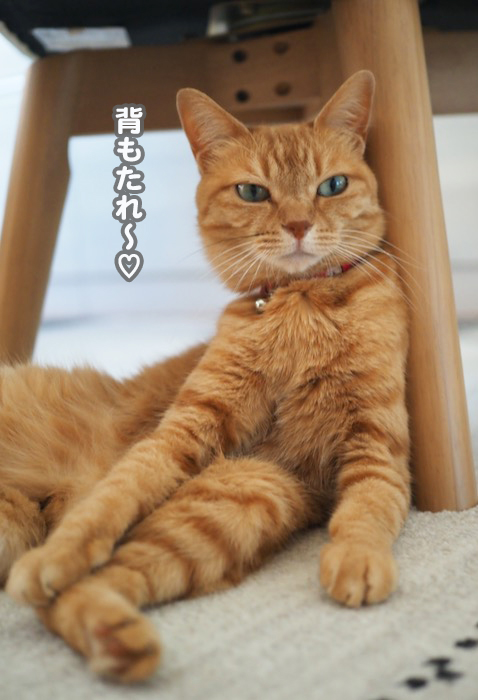 7日ブログ４