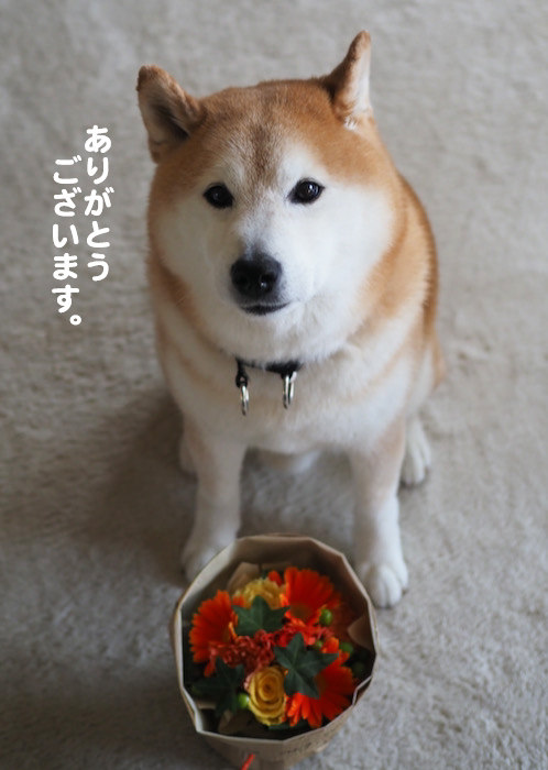 9日夜ブログ２