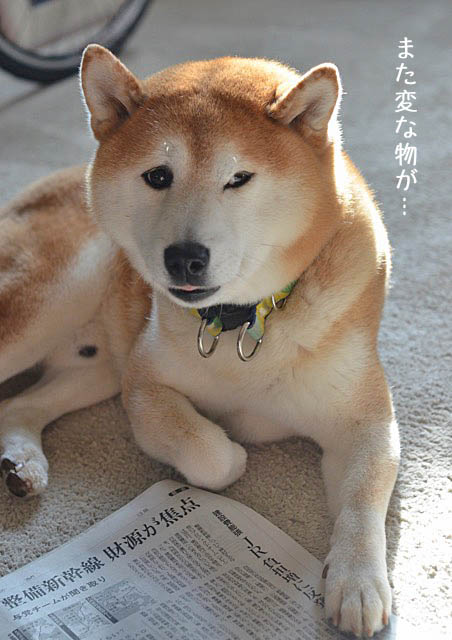 30日ブログ2