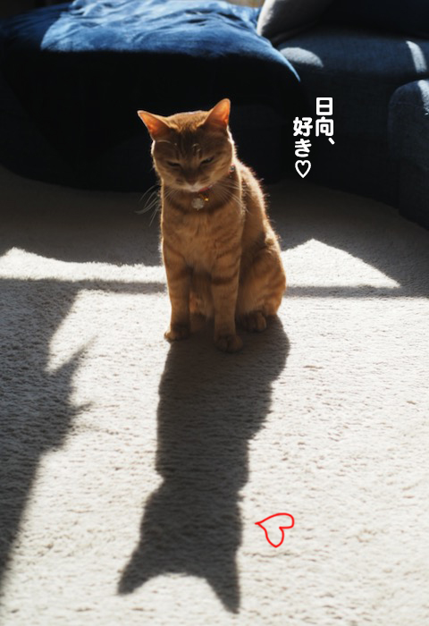 27日ブログ８