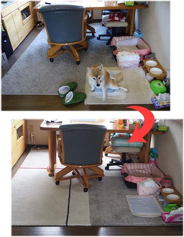 11日ブログ６